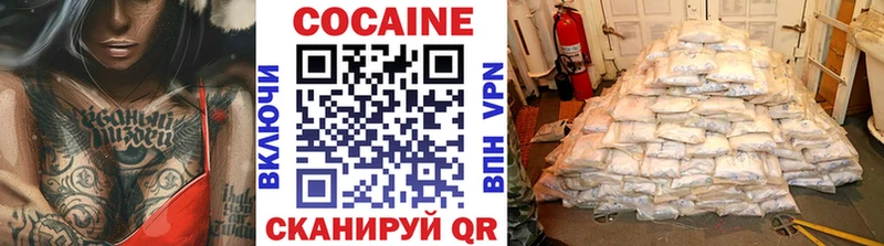 Cocaine Fish Scale  Купить закладки  Щучье 