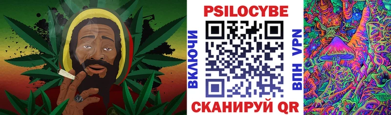 Купить закладки  Щучье  Псилоцибиновые грибы мухоморы 